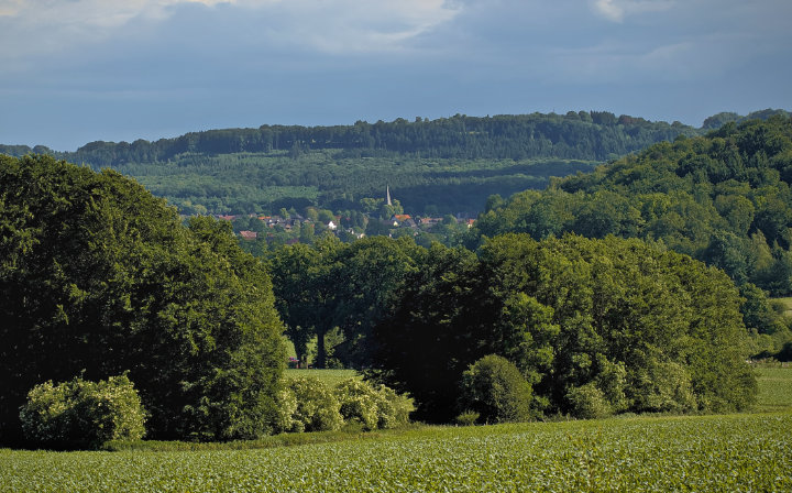 Vereine vor Ort